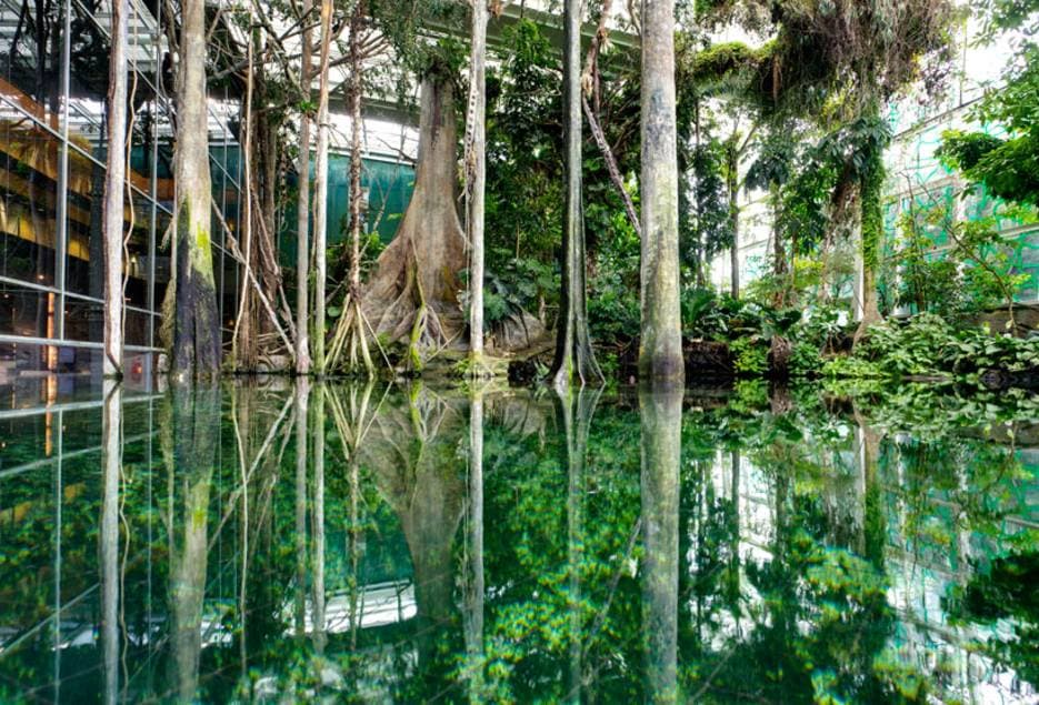 Regndagar i Barcelona med barn - Bästa tipsen 2026