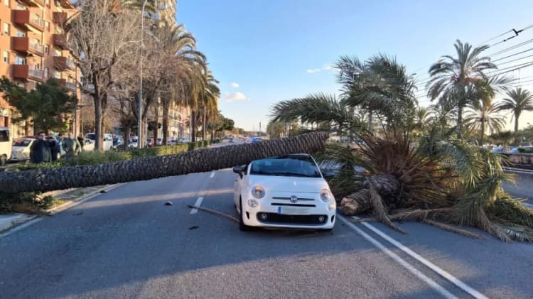 Uppdatering 12:00: Stormen Nils fortsätter orsaka skador och stora störningar i Barcelona