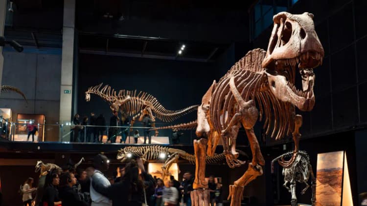 cosmocaixa-biljetter-2026-pris-gratisdagar