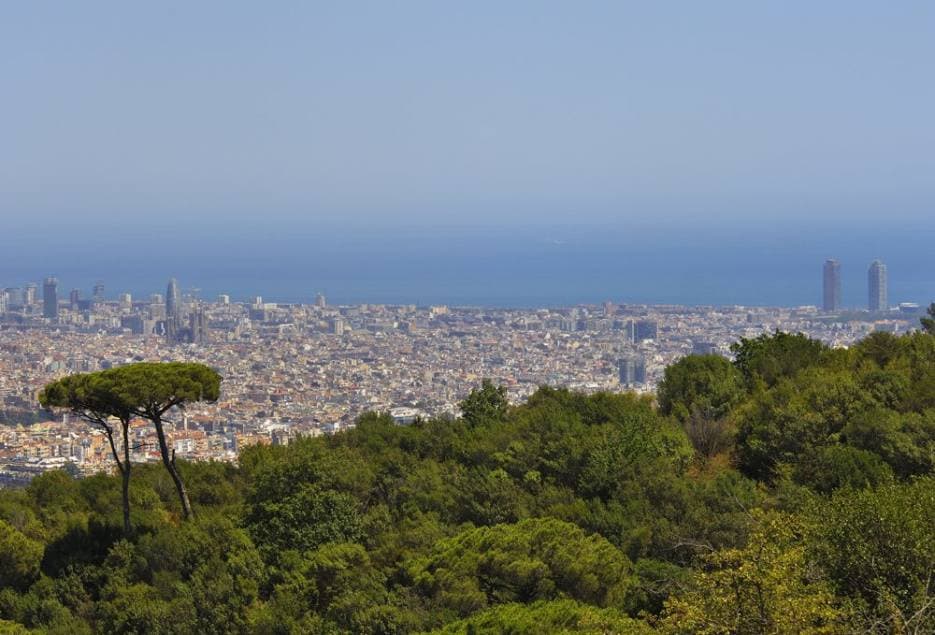 Parc de Collserola Barcelona- Vandring, Utsikt & Naturtips 2026