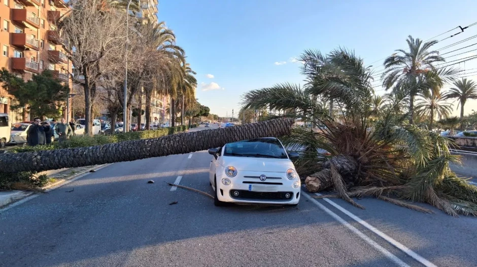 Uppdatering 12:00: Stormen Nils fortsätter orsaka skador och stora störningar i Barcelona