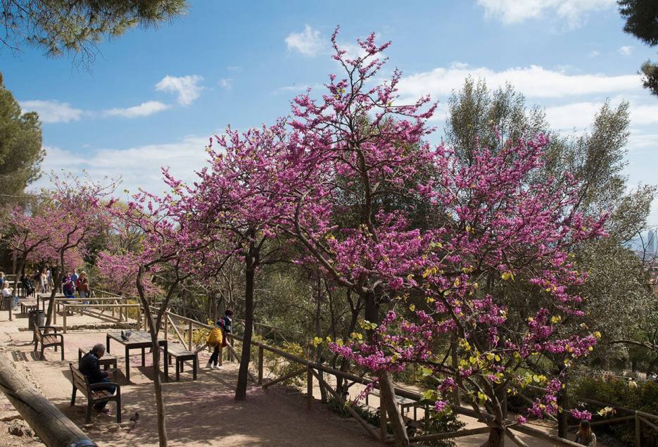 park-güell-fria-delen-av-parken
