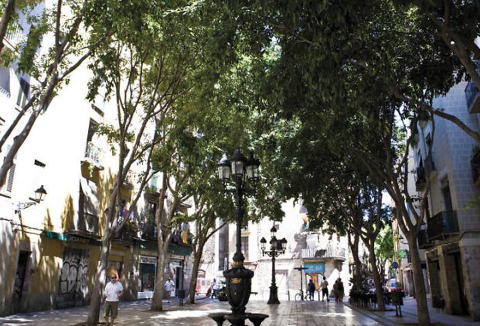 Torg i El Born Barcelona - Guide till de mysigaste platserna 2026